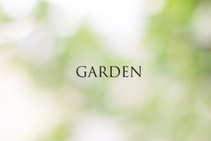 ホームページのリニューアルのお知らせ