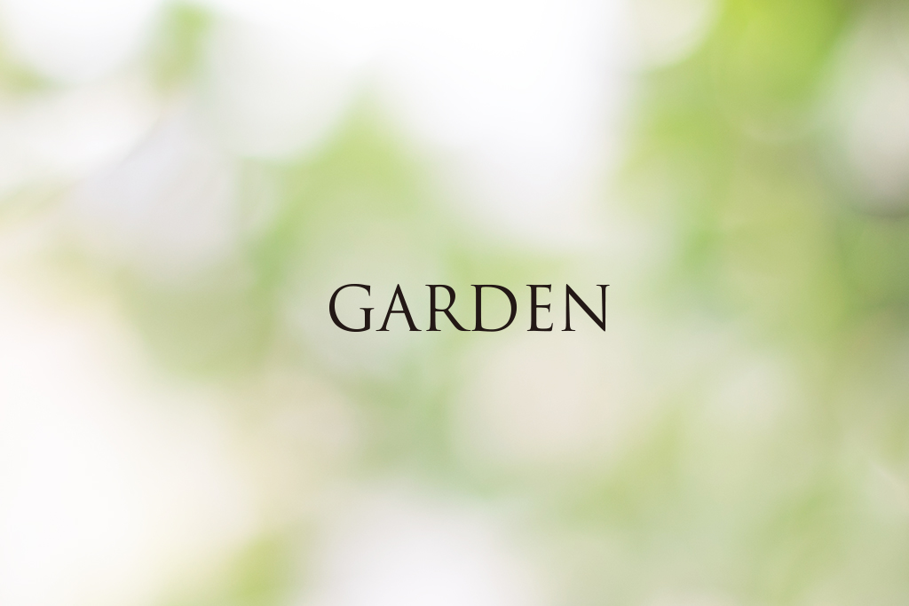 ホームページのリニューアルのお知らせ